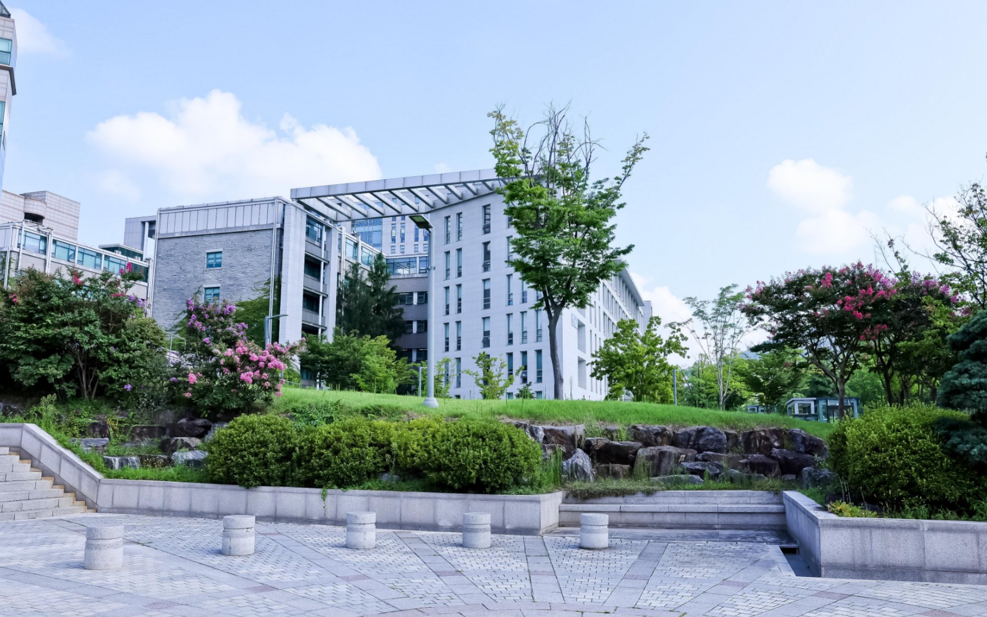 여름 햇살이 드는 학교 캠퍼스 정원과 교사 건물